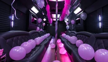 Birthday-Limo-Service Birthday-Limo-Service